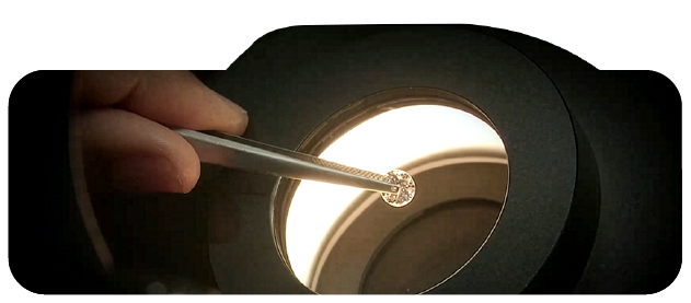 Expert SGL analysis under 10x magnification to identify internal inclusions and establish a clarity grade.