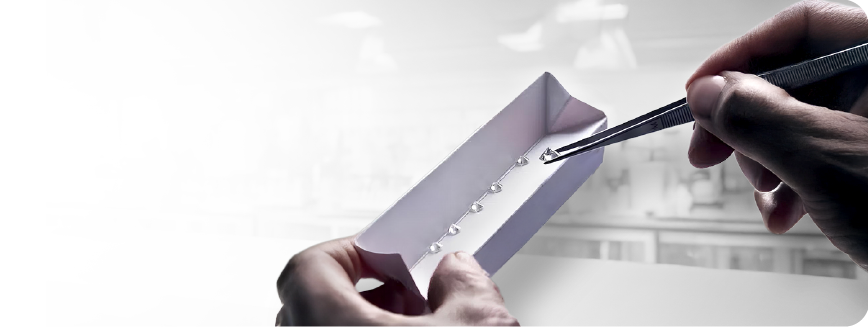 SGL gemologists evaluating diamond colour against master stones under controlled daylight conditions.