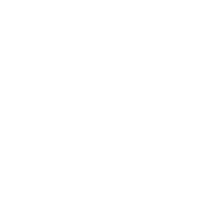 A minimalist white line-art icon of a globe, representing international industry news and SGL's global laboratory network.