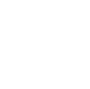A minimalist white line-art icon of a book, representing SGL’s educational blog resources and diamond guides.